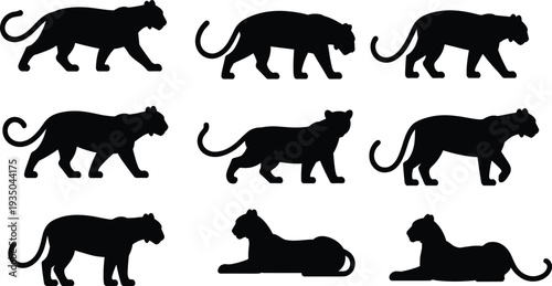 Panther silhouettes collection showing big wild cat walking, standing and resting jungle predator animal vector illustration isolated set
