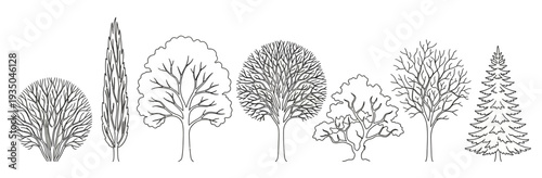 Set of Hand Drawn Individual Tree Line Art Sketches Featuring Various Species for Landscape and Garden Design