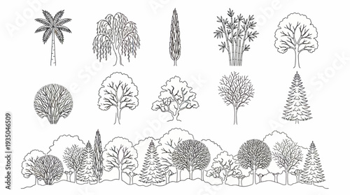 Architectural Tree Elevation Symbols Set, Hand Drawn Line Art of Various Tree Species and Forest Row for Landscape Design and Site Sections