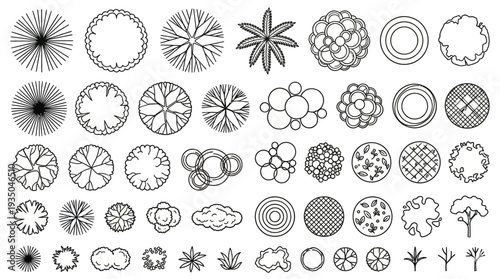 Architectural Tree Symbols and Plan View Vegetation Set, Hand Drawn Line Art Icons for Landscape Design and Urban Site Planning