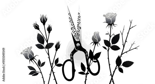 Ornate black scissors centered among blooming and budding rose bushes with thorny branches in a monochrome illustration.