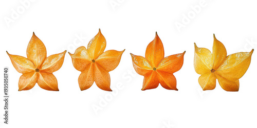 Four vibrant star fruit slices showcasing their unique fivepointed star shape and textured skin isolated on white transparent background
