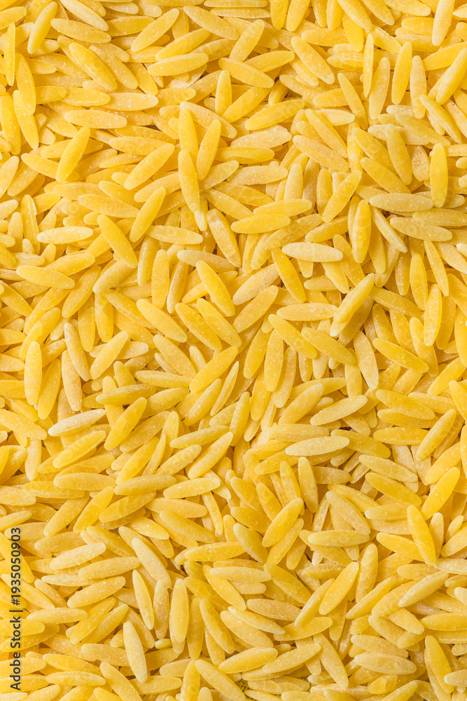 Fototapeta premium Organic Dry Italian Orzo Pasta