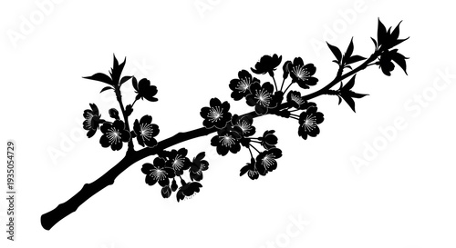 Beautiful blooming cherry blossom branch with delicate flowers and leaves