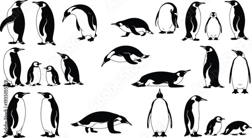 Silhouette penguin collection, animal vector design, black illustration artwork, wildlife poses concept, bird profile icons, Antarctic pet artwork set