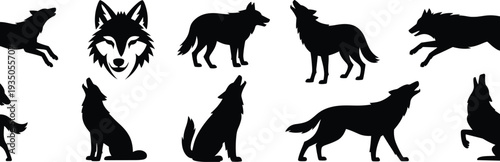 Silhouette wolf collection, animal vector design, black illustration artwork, wildlife poses concept, howling running icons, predator profile artwork set