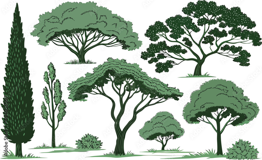 Fototapeta premium A comprehensive vector set of green trees and floral plant silhouettes featuring spring leaves, branches, and summer foliage illustrations for nature-inspired environment design and art patterns