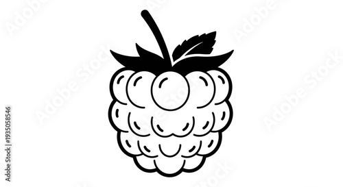 Raspberry Vector Illustration, Black and White Graphic, Food Icon, Healthy Eating, Isolated Design