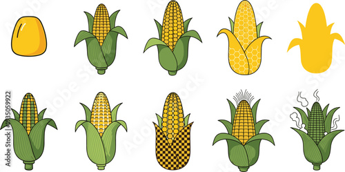Corn cob and maize plant collection with different corn styles, sweet corn vegetable icons with husk leaves vector set for agriculture and food design