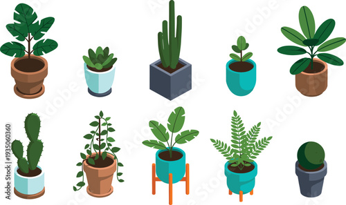 Collection of indoor potted plants and succulents in various pots, modern houseplants vector illustration set isolated on white background for home decor design
