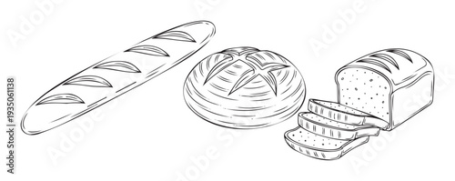 Delicious assortment of freshly baked bread loaves including a long baguette, a round country loaf, and a sliced sandwich bread for bakery branding or cooking guide graphics