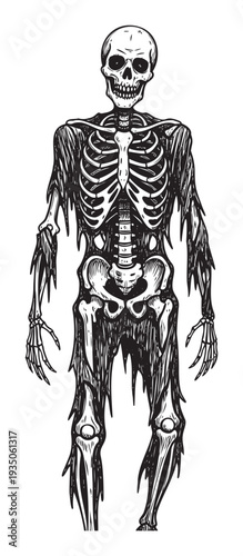 Striking black and white spooky skeleton graphic for horror themed promotions Halloween events or macabre visual projects requiring a frightening presence