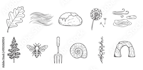 Collection of hand drawn natural and outdoor elements like an oak leaf, dandelion, pine tree, bee, snail, and garden tools for seasonal or ecological graphics projects.