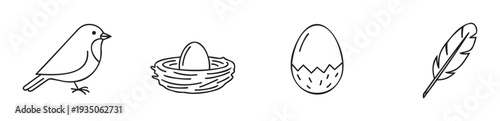 Simple black line icons depicting a bird, a nest with an egg, a hatching egg, and a feather, perfect for spring, nature, or educational themes in digital and print media projects