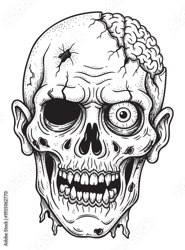 Detailed black and white undead zombie skull head with exposed brain, terrifying features perfect for horror game assets, Halloween event posters, or spooky merchandise.