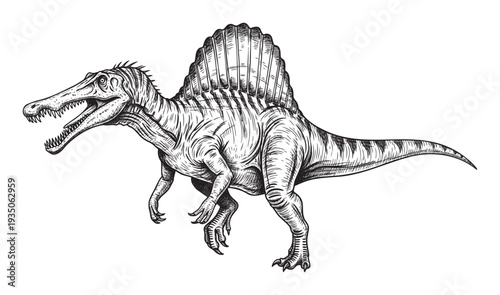 Detailed Spinosaurus dinosaur drawing in a sketch style, perfect for educational content, prehistoric animal studies, and themed merchandise for a wide audience