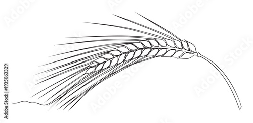 Minimalist black and white line art depicting a single curved grain ear, representing natural growth and sustenance, ideal for branding, recipe books, or organic product labels.