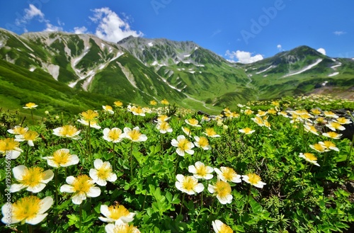 Wallpaper Mural 夏山登山　立山縦走 Torontodigital.ca