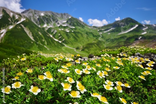 Wallpaper Mural 夏山登山　立山縦走 Torontodigital.ca