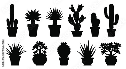 A collection of various potted cacti and succulent plants rendered as stark black shapes a captivating silhouette high quality professional detailed