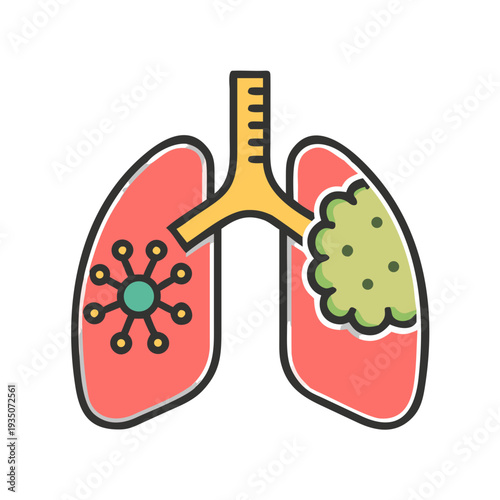 Illustration of human respiratory system focusing on lungs and diaphragm isolated on white background, Vector