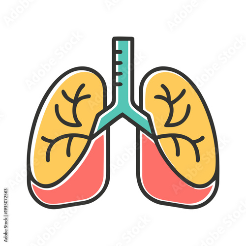 Illustration of the human respiratory system focusing on the lungs and bronchial tubes isolated on white background, Vector