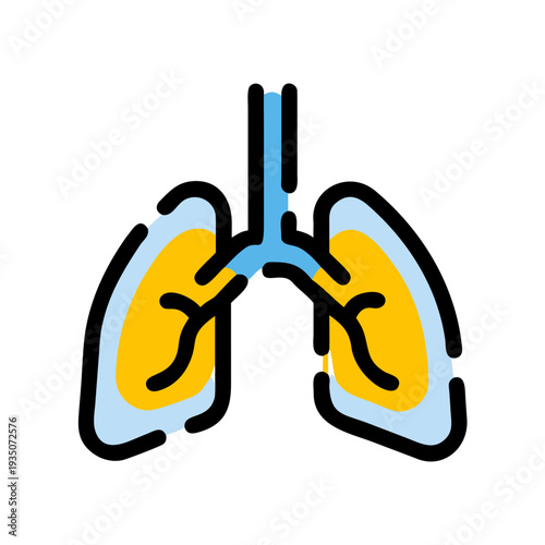 Illustration of human lungs with highlighted bronchial tubes and airways isolated on white background, Vector