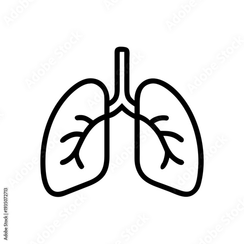 Simple diagram of human lungs connected to the bronchial tree and trachea isolated on white background, Vector