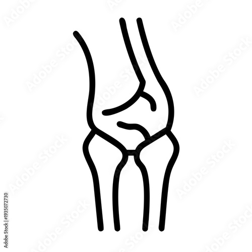 Anatomical illustration of a human knee joint with bones and ligaments shown isolated on white background, Vector