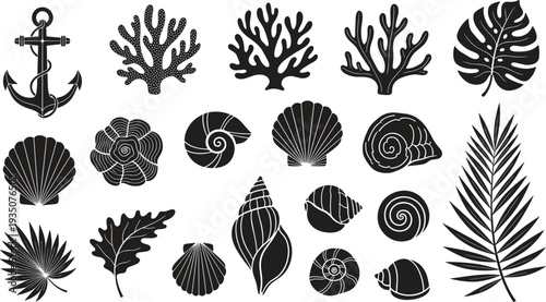 Collection of ocean and sea related illustrations including coral shells leaves and anchor