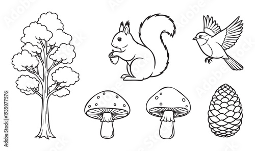 Line drawing set of forest nature objects featuring a tree, a squirrel, an acorn, a bird, mushrooms, and a pine cone, perfect for educational resources, coloring books, and simple