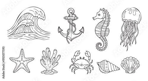 Black and white line drawings of various sea creatures and nautical objects, excellent for childrens coloring books, educational materials, and marine themed decorations.