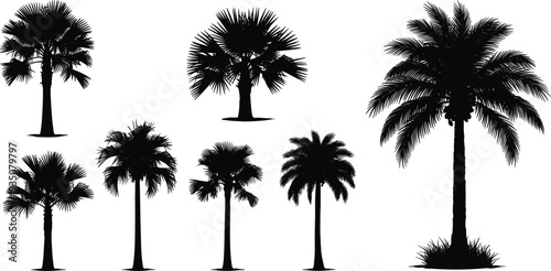 Palm tree silhouettes set tropical beach nature summer island plants vector illustration collection design element
