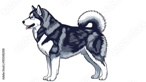 Strong and noble alaskan malamute dog with thick gray fur and a curled tail stands proudly in a detailed profile view.