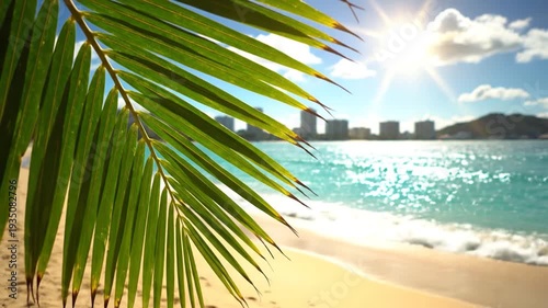 Sunny tropical beach with a palm frond framing the sparkling ocean.
