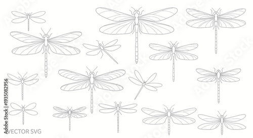 Dragonfly Vector Illustration Collection: Delicate Line Art Insects