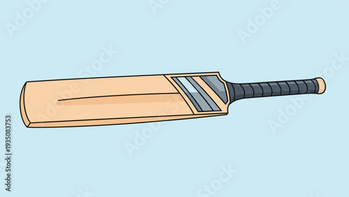 Traditional wooden cricket bat with a black handle grip shown at an angle against a light blue background for sports equipment design.