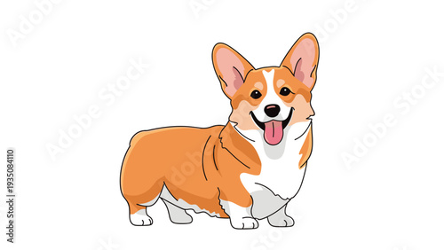 Happy pembroke welsh corgi dog standing and smiling with tongue out on a clean white background in flat vector style.