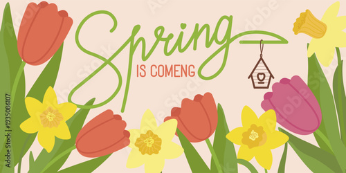 Horizontal vector illustration featuring Spring is coming lettering surrounded by bright tulips and narcissus flowers. Perfect for seasonal sales and garden center banners.