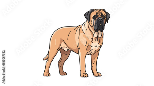 Realistic drawing of a large English Mastiff dog standing tall with a calm expression on a plain and clear white background.