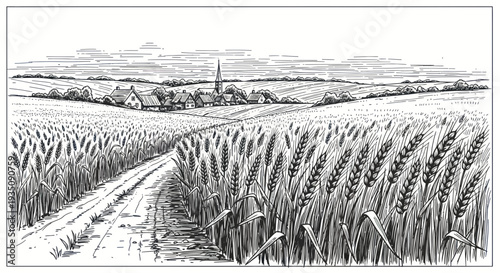 Rural village in wheat field, country road leading to houses and church, ink drawing