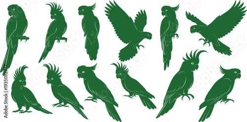 Parrot Silhouette Set with Flying and Perched Tropical Birds in Different Poses for Wildlife Design, Exotic Nature Illustration and Decorative Graphics
