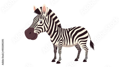 Cute cartoon zebra with black and white stripes standing and looking forward with big eyes on a white background.