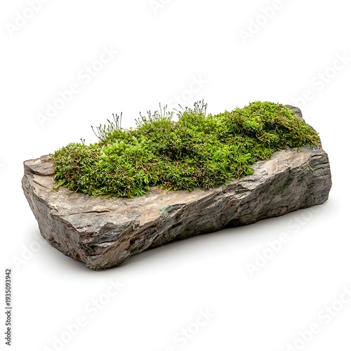 Beautiful natural stone with lush green moss ideal for landscaping and outdoor design projects