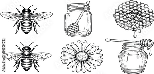 Vintage Hand Drawn Honey Bee Vector Illustration Set Featuring Honey Jars Dippers Honeycomb and Daisy Flower for Organic Farm Branding and Product Packaging Designs