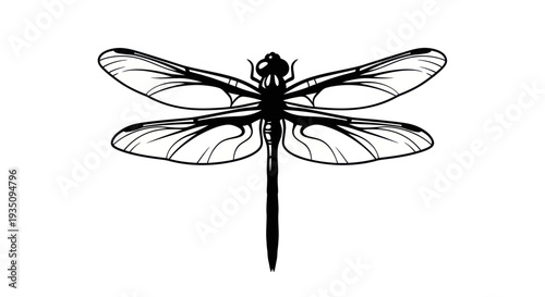 Stylized Black Dragonfly Silhouette with Intricate Wing Detail on White Background