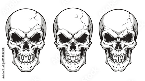 Three highly detailed human skulls featuring cracks and shadows arranged side by side on a solid white background.
