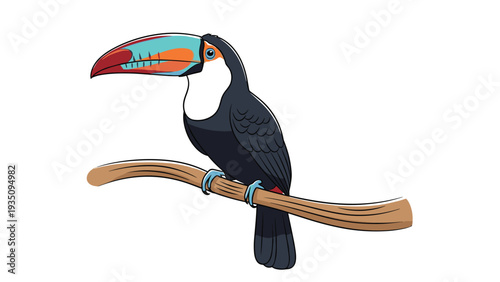Exotic toucan with a vibrant blue, orange, and red beak perched on a curved wooden branch on a white background.