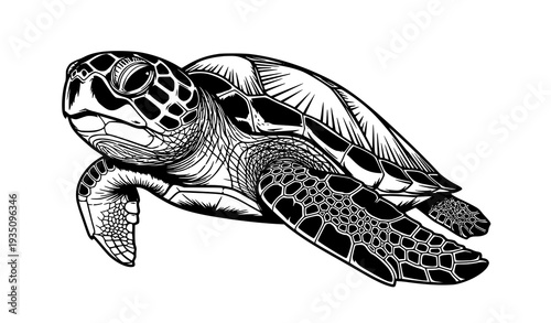 A black and white illustration of a sea turtle swimming in the ocean