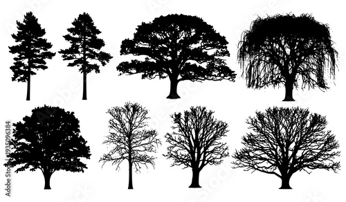 A set of tree silhouettes in various styles and shapes on a white background